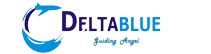 Delta Blue Jet Air
